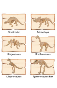 Toptan kök eğitici oyuncak kazmak çocuklar için dinozor oyuncaklar DIY dinozor fosil yumurta kazmak kiti - Product Image 4