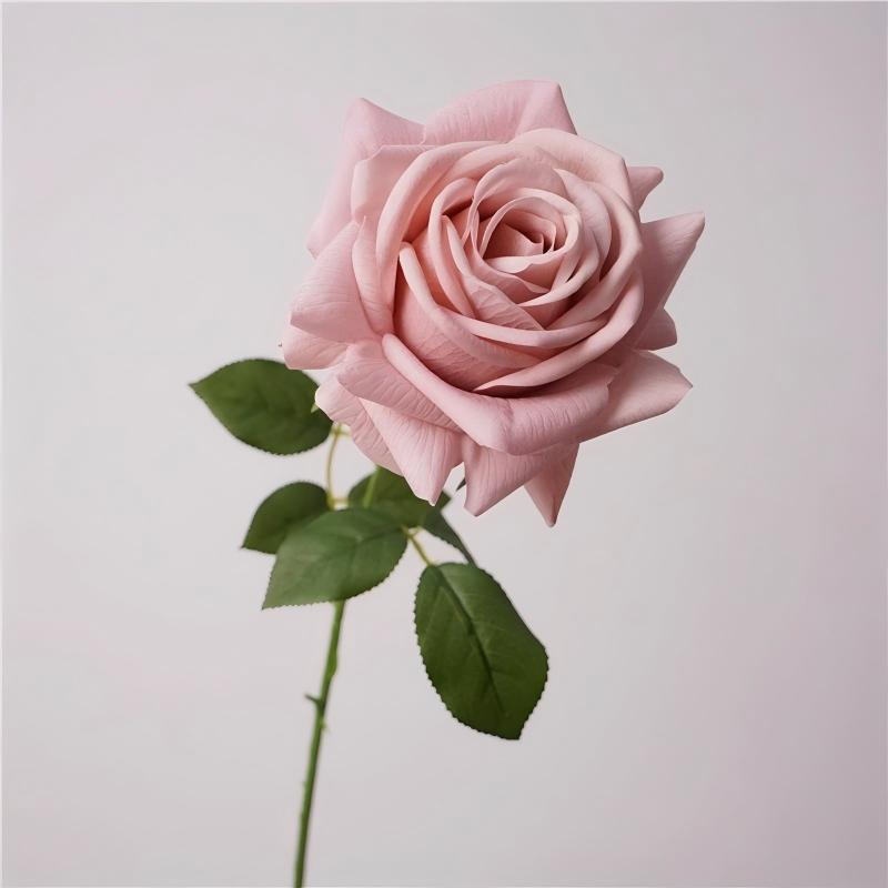 Rosa otoño