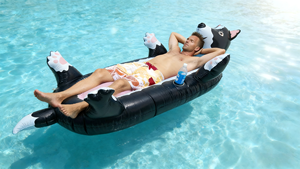 Zomer opblaasbare zwembadvlot voor honden, zwart, voor tieners, volwassenen en huisdieren. Nieuw ontwerp opblaasbare Border Collie honden zwembadvlot voor de zomer. - Product Image 3