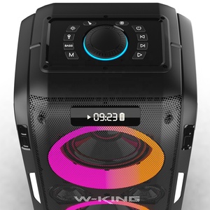 W-KING T9 Pro New Arrival 120W Large <strong>Output</strong> Outdoor Subwoofer Audio Party Box, with Wireless <strong>Mic</strong> and RGB Light - Product Image 2