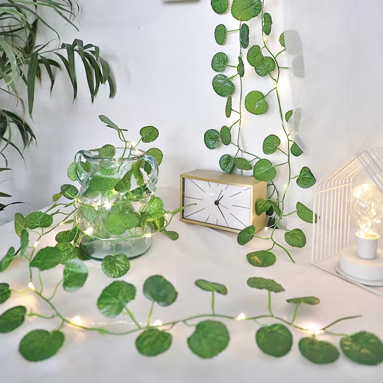 hitom leaf