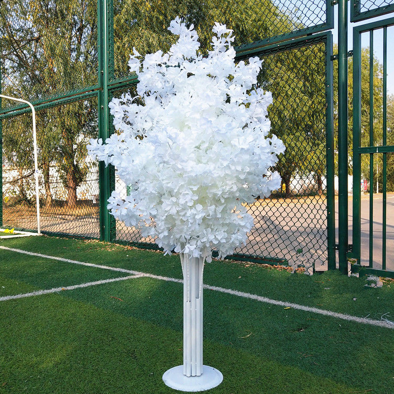 Blanc-l'arbre entier