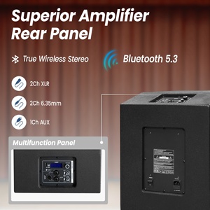 Accuracy Pro Audio AC49-MK2 1000W 12인치 우퍼 프로페셔널 오디오 PA 시스템 우든 액티브 어레이 파워드 컬럼 스피커 - Product Image 3