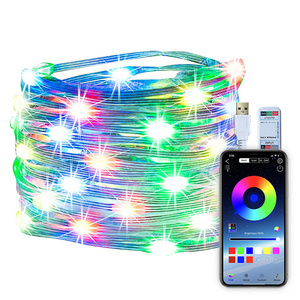 RGB <strong>Timer</strong> Christmas LED <strong>Lights</strong> Smart Personalized <strong>String</strong> <strong>Lights</strong> App <strong>Remote</strong> Control Copper Wire Led <strong>String</strong> <strong>Light</strong> - Product Image 5