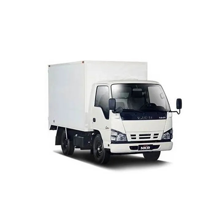 Camión Isuzu usado, caja de carga japonesa, camioneta, chasis 4*2, cabina doble LHD