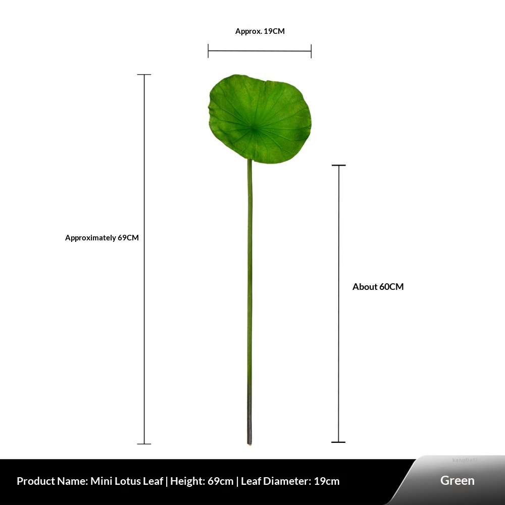 Mini feuille de lotus