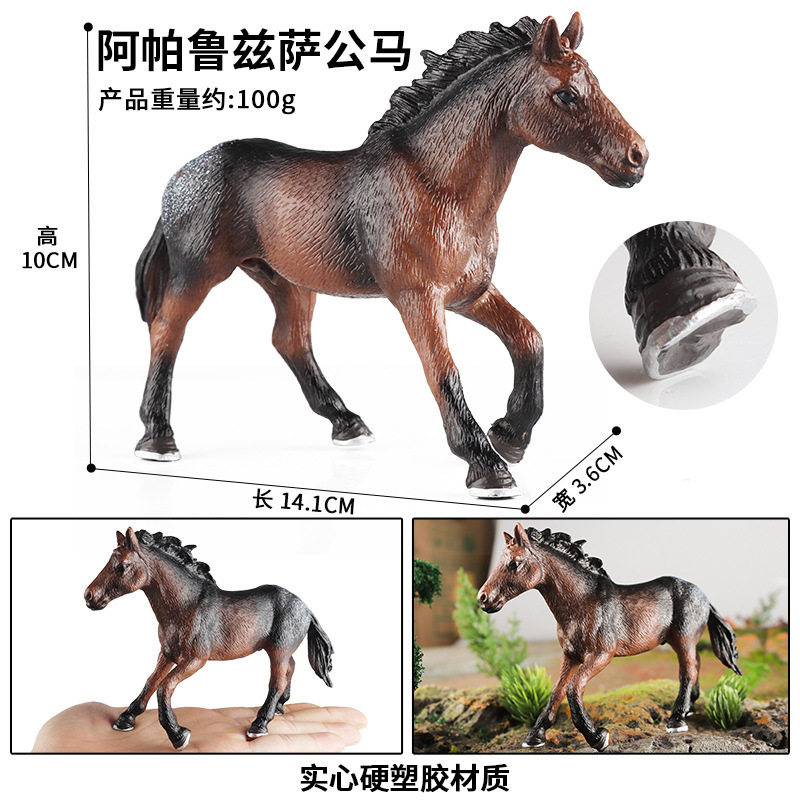M-151Appaloosa Horse