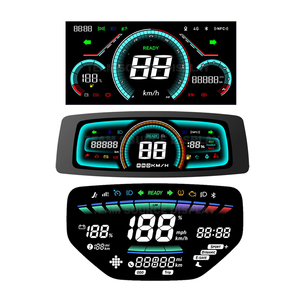 OEM ODM personalizza VA lcd BTN modulo display MONO display lcd ebike per veicoli E-bike - Product Image 2