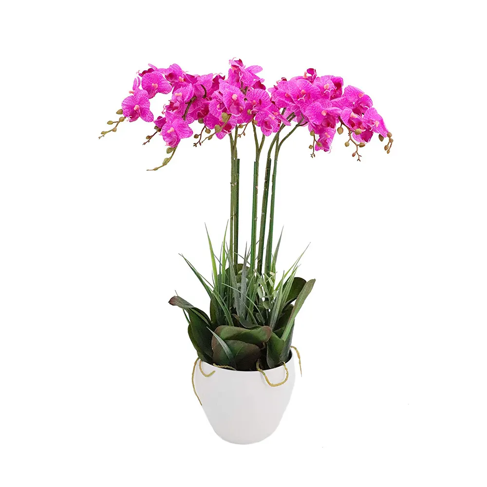 Orchidées artificielles bonsai en plastique, 25 ", 10 pièces, plantes en pot pour décoration d'intérieur