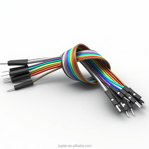 Kabel pita datar pelangi 2.54mm 40 Pin dengan konektor Dupont-Harness kabel IDC panjang kustom murah - Product Image 1