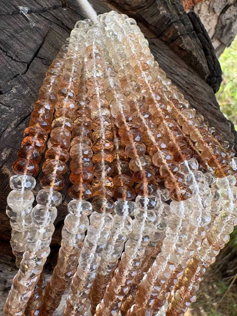 Marrón| Transparente