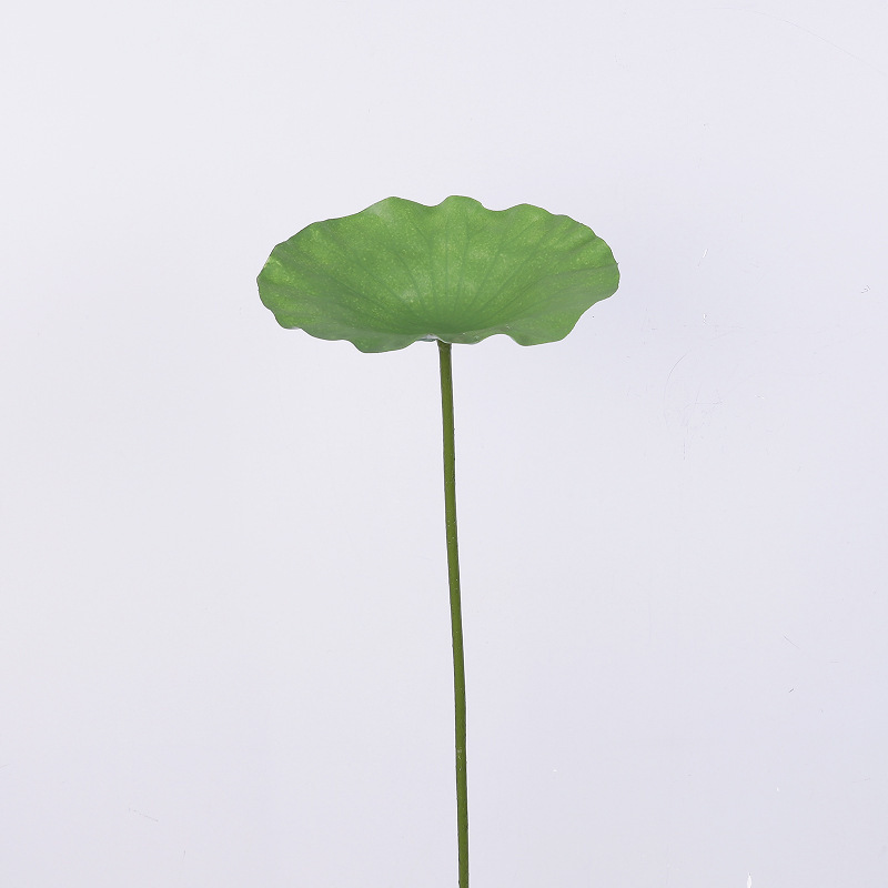 73cmLeaf