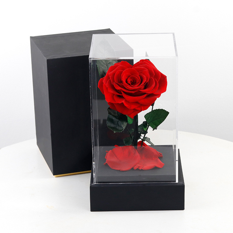 Caja negra, flor roja, amor.