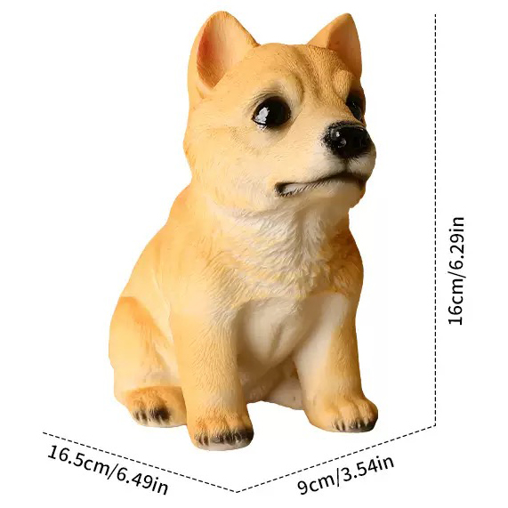 Perro 4