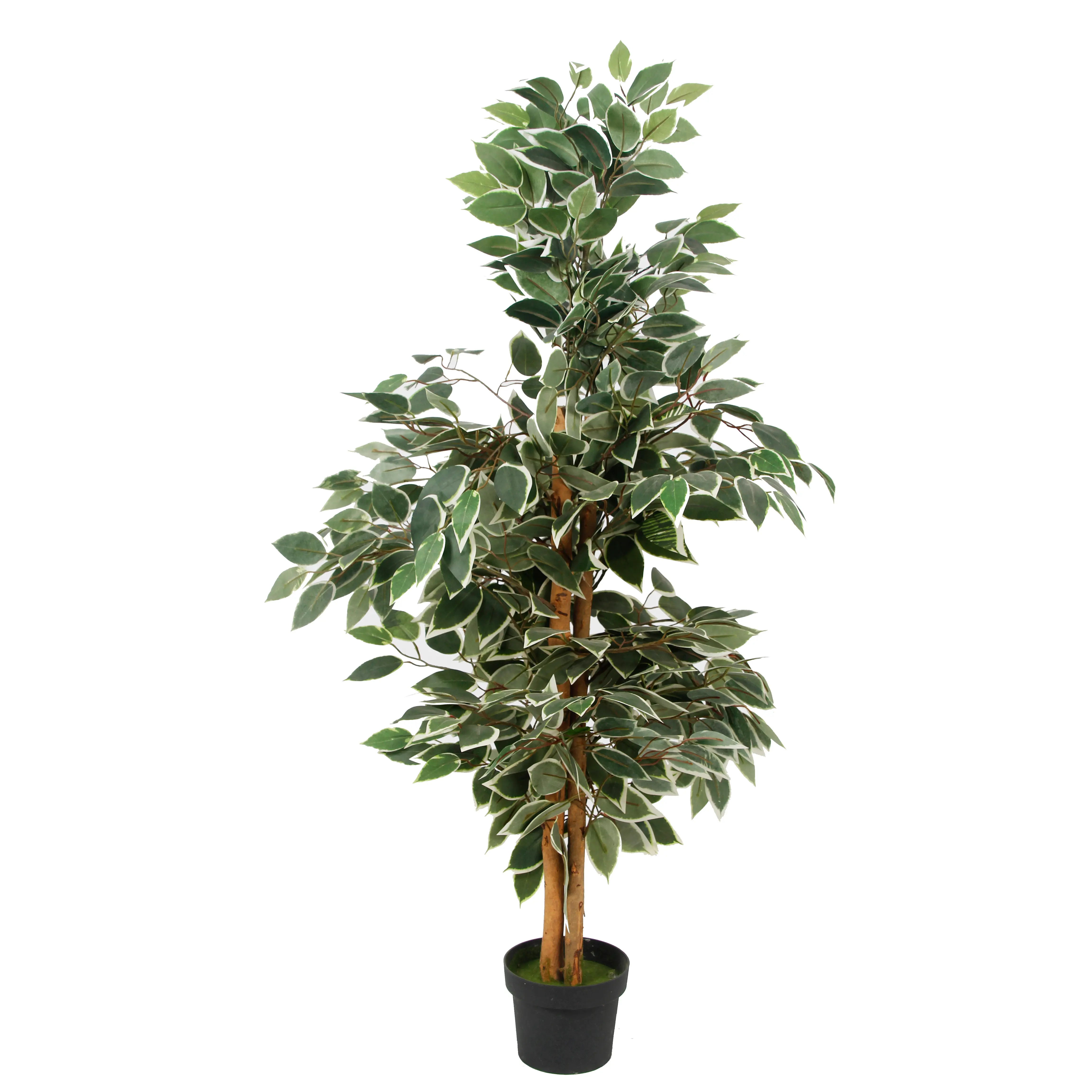 Fourniture directe d'usine de plantes artificielles d'extérieur décoratives en pot résistantes aux UV Faux Mini Ficus panaché à vendre