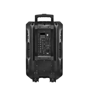 Economical 12/15 &quot;<strong>digital</strong> Portable Multi-function Rechargeable Trolley <strong>Speaker</strong> with Subwoofer - Product Image 1