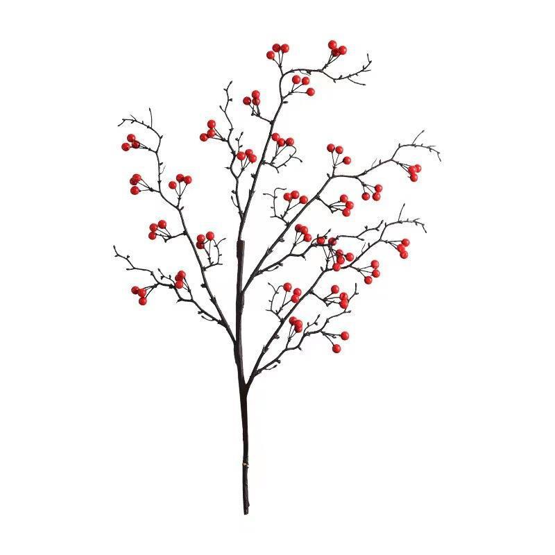 1 fruit d'acacia