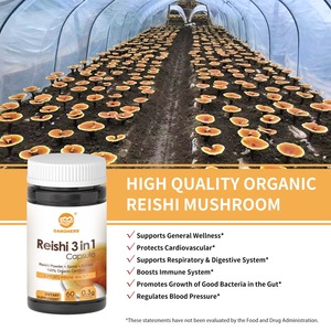 Ganoherb OEM/ODM 3-in-1 <span class=keywords><strong>Ganoderma</strong></span> <span class=keywords><strong>lucidum</strong></span> chiết xuất thảo dược Reishi Nấm viên nang Top Grade nhân tạo trồng trong một chai - Product Image 3