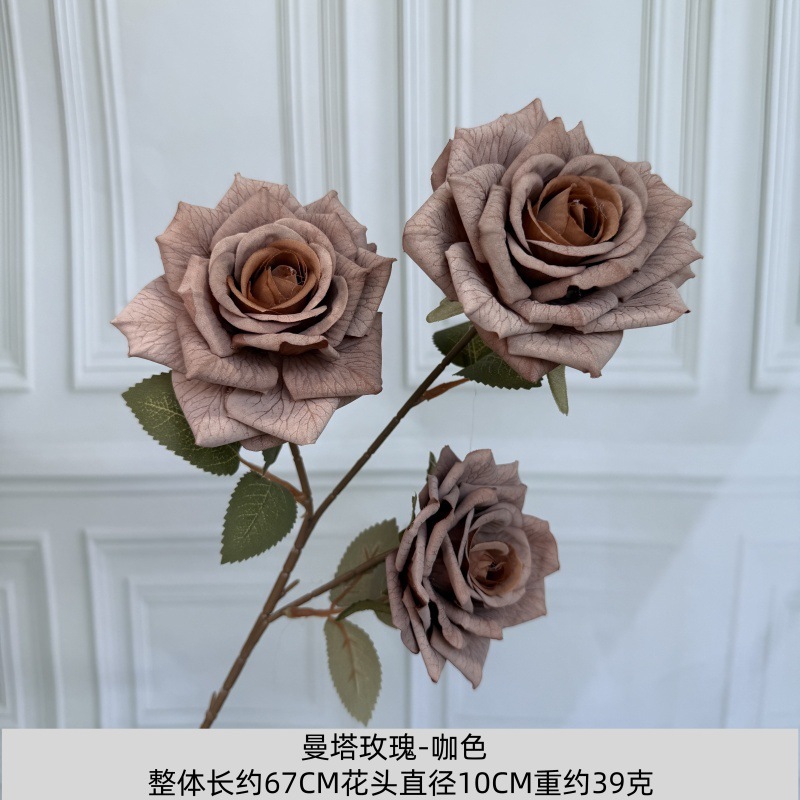 Manta Rose