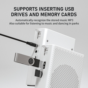 Mini amplificador inalámbrico portátil con unidad USB AUX MIC y compatibilidad con tarjeta TF para profesores y presentaciones - Product Image 6