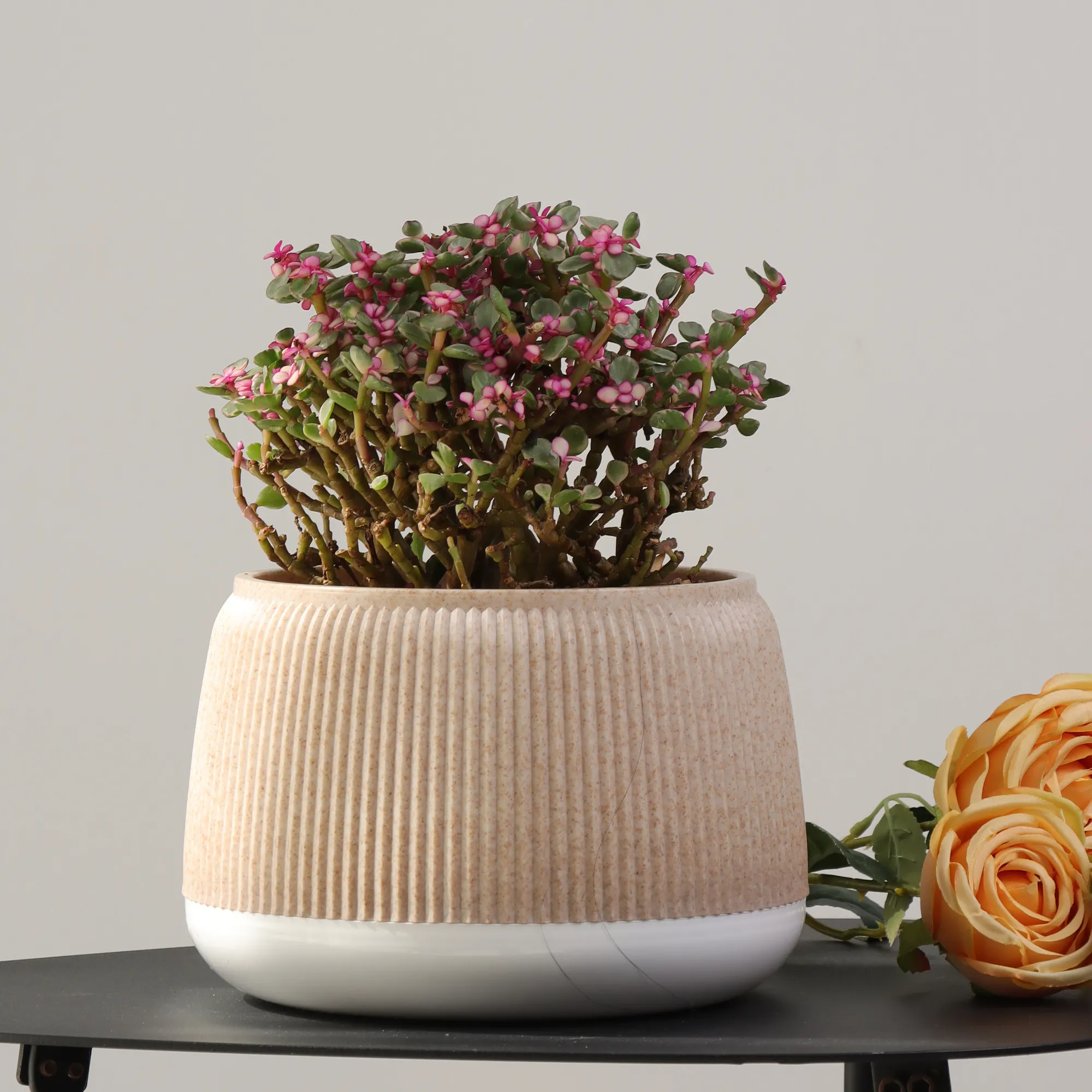 Direct Factory Sale Colorful Stripe Plastic Flower Vases & Planters for Home Decor Desktop Decorative Items