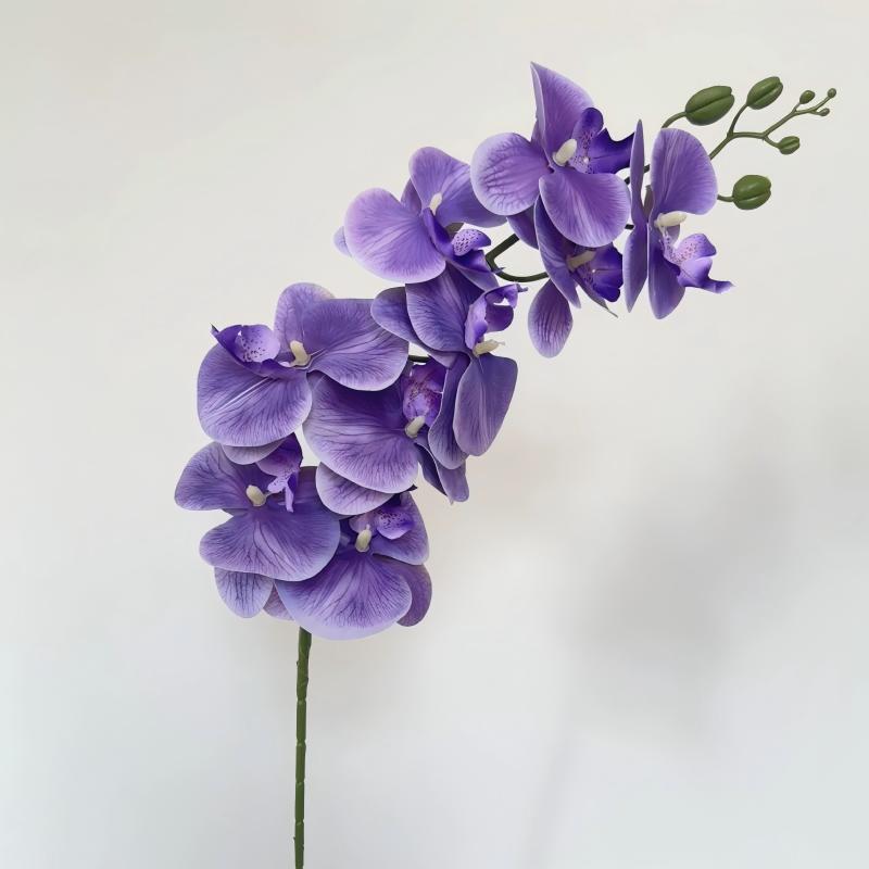 16-Vivid Purple