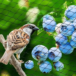 Kunden spezifisches landwirtschaft liches PE-Anti-Vogel-Netz für Gemüse Obsts chutz Farm <span class=keywords><strong>Bird</strong></span> Proof <span class=keywords><strong>Net</strong></span> Farming - Product Image 6
