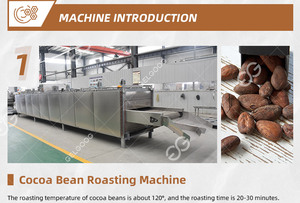 Máquinas de procesamiento de granos de cacao, trituradora de polvo de coco para planta, máquina de molienda a la venta en españa - Product Image 4