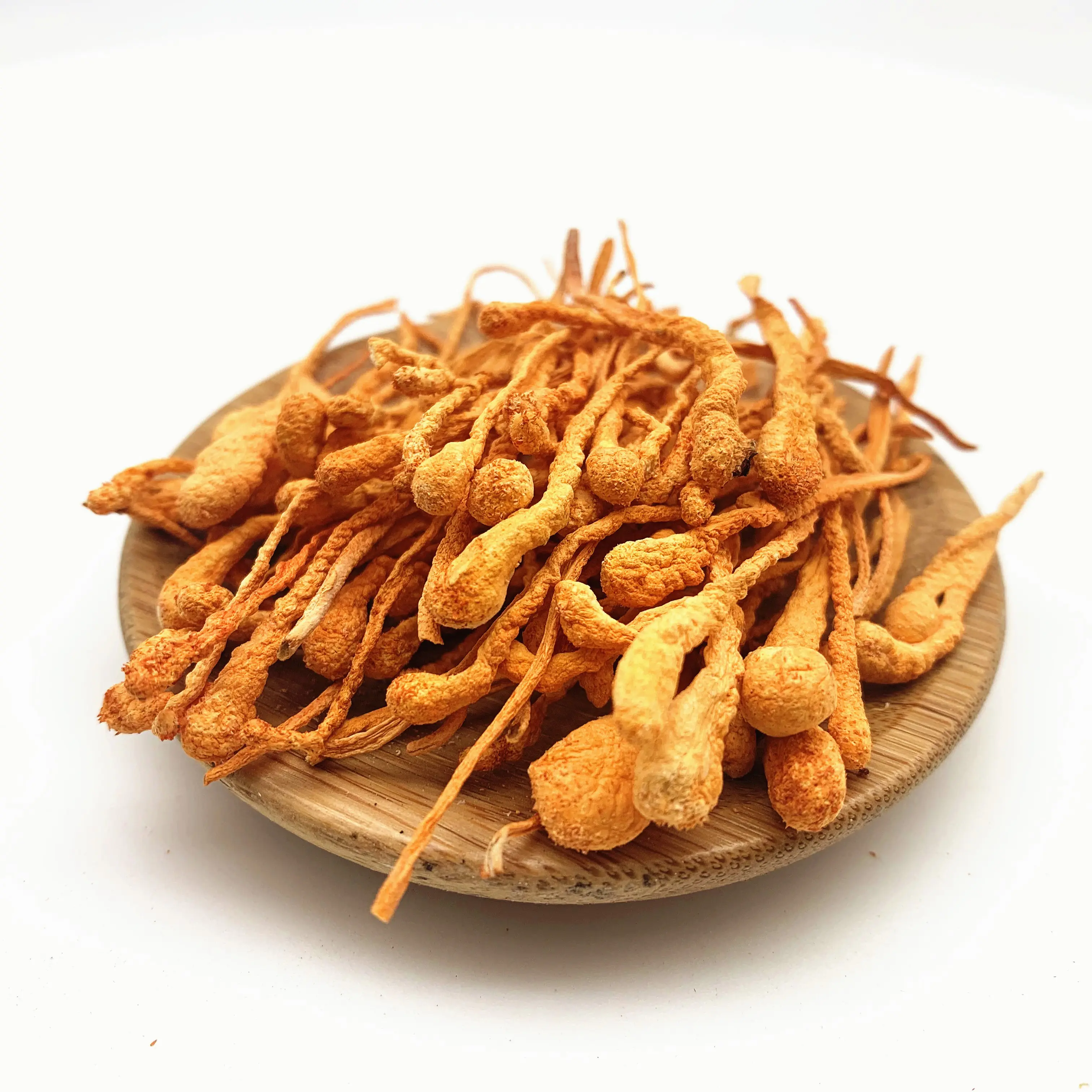 Alta calidad Cordyceps seta seca precio al por mayor