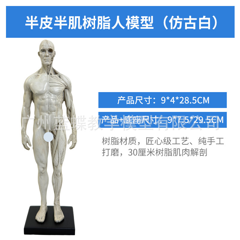 30CM Resin - Antique White - Men's