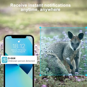 หลอดไฟโซลาร์เซลล์ PTZ 4G, กล้องวงจรปิดสำหรับล่าสัตว์360องศาในร่มกลางแจ้งกล้อง IP ตรวจสอบสัตว์ป่าสำหรับคืนวัน - Product Image 3
