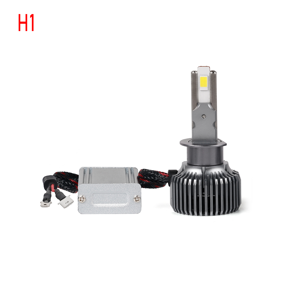H1