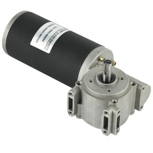 <strong>12V</strong> 24V High Torque Door Opener DC Worm Gear Motor with <strong>Encoder</strong> for Sliding Door - Product Image 1