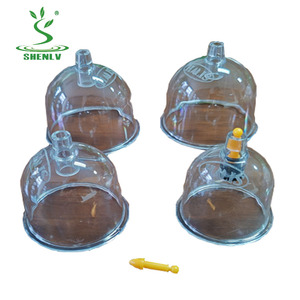 Set bekam vakum akupuntur, toples cangkir hisap, set bekam vakum terapi plastik untuk pijat - Product Image 6