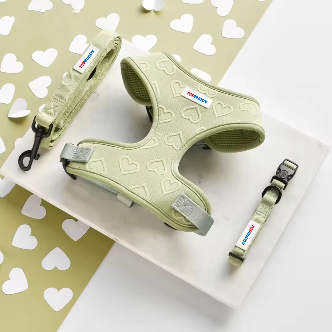 Vert avec coeur d'amour