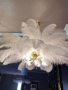 Large White Ostrich Plumes <strong>Feather</strong> For Carnival Festival Wedding Party Decoration Natural Bulk Supply Cheap Sale Washed Pattern - Product Image 5