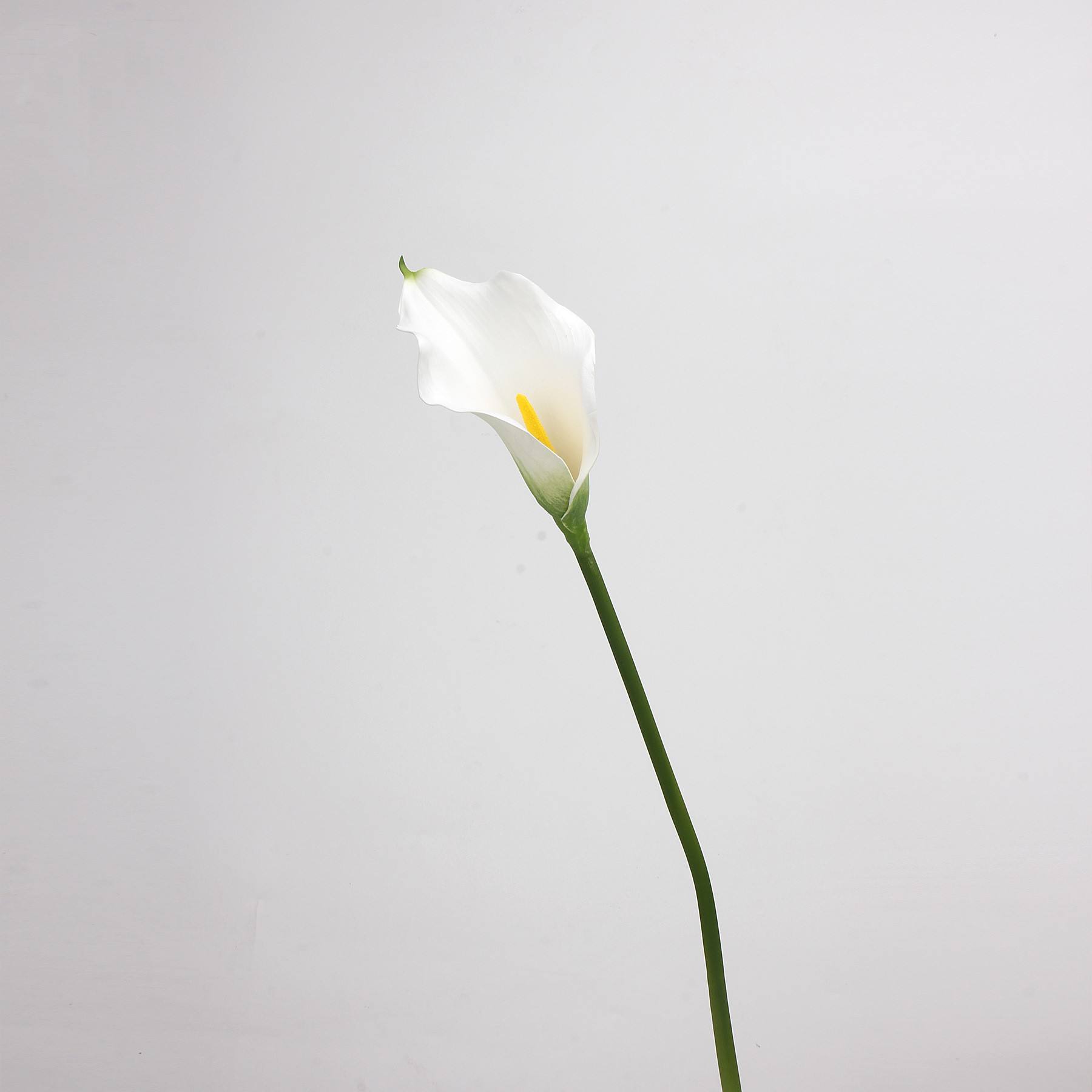 Blanc - 63CM