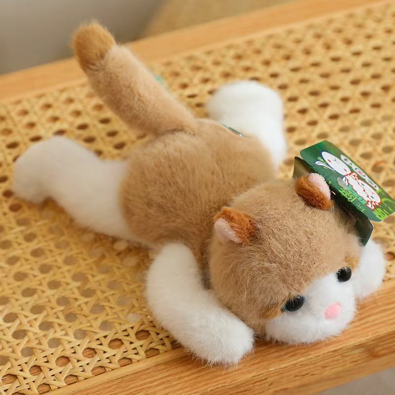 Chat marron clair