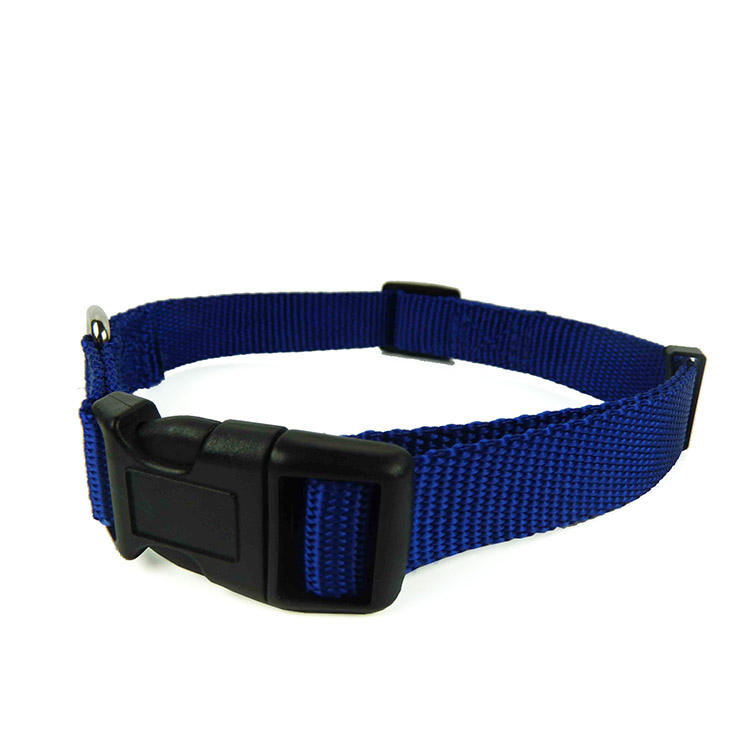 ปกสีน้ำเงิน