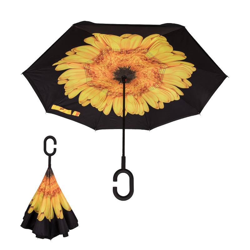 yellow chrysanthemum