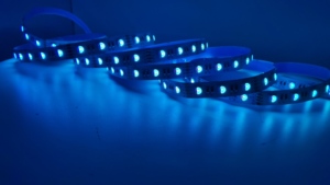 Tcwin <span class=keywords><strong>rgbw</strong></span> הוביל רצועה אור dc12v smd5050 60 חזה פנימי ip20 ip65 5m פיקסל רצועות אור עמיד למים-rgbic ws2812b