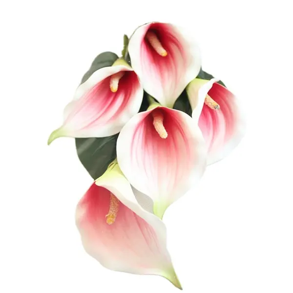 Real touch cinque gemme bianco Arum giglio prezzo di fabbrica fiore di nozze fiore artificiale di alta qualità fiori di seta piante da esterno (MF
