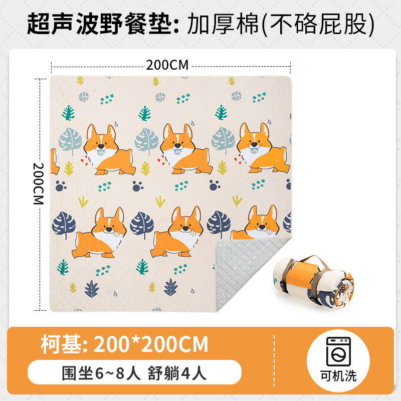 Corgi 200*200cm