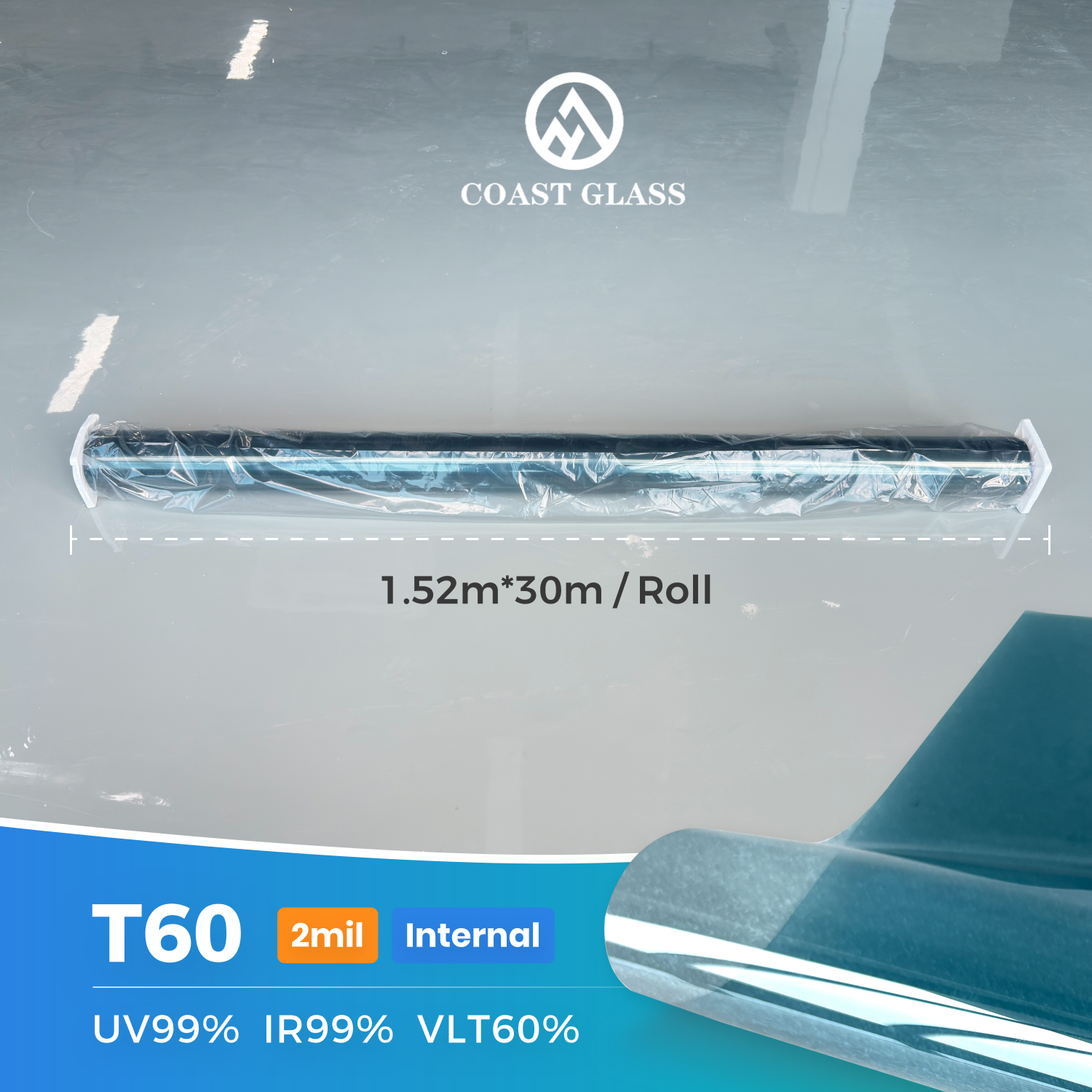 T60