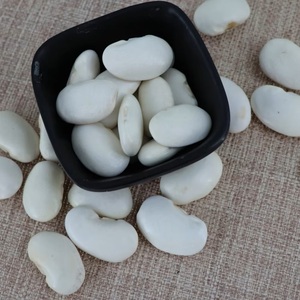 ถั่วขาวออแกนิกขนาดใหญ่แห้งแบบไม่ผ่านการอบแห้ง - Product Image 5