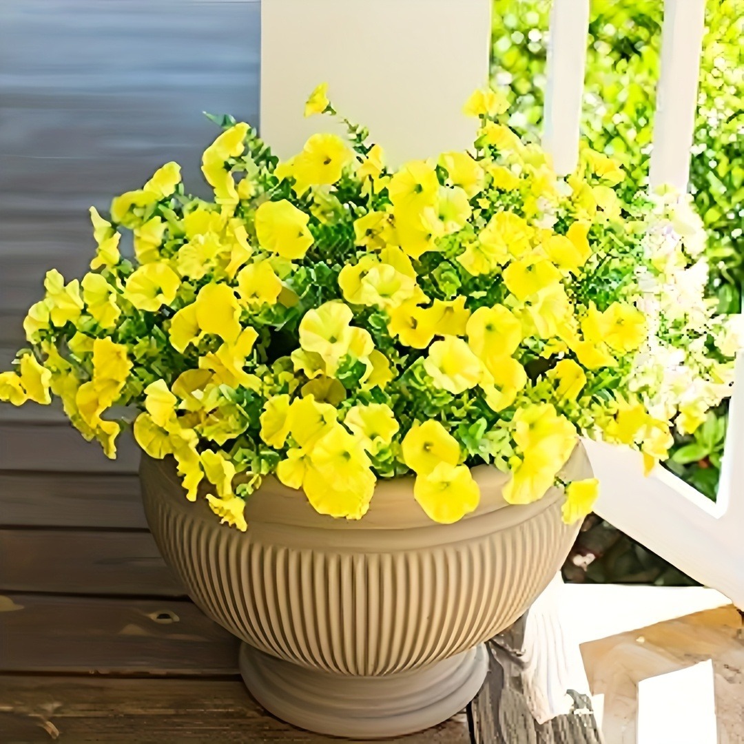 Giallo