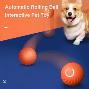 Nueva pelota de entrenamiento de hierba gatera, pequeño juguete interactivo automóvil para mascotas para gatos y perros, puente automático, juguete para gatos rodantes - Product Image 6