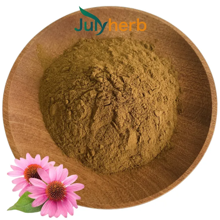 Julyherb Extrato natural de ervas equinácea extrato de equinácea purpurea em pó ácido cicórico 4% ~ 8%