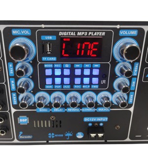 DSP kontrol dijital güç amplifikatörü sınıf D subwoofer profesyonel güç amplifikatörü güç amplifikatörü - Product Image 5