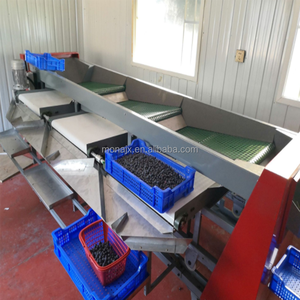 <strong>Automated</strong> Fruit Best Tomato Apple Avocado Apricot Blueberry Jujube Lychee Fruit <strong>Sorting</strong> Sizing and Grading <strong>Machine</strong> - Product Image 6